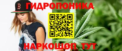 спиды Ливны
