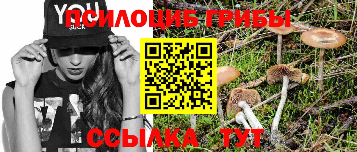 Псилоцибиновые грибы MAGIC MUSHROOMS  Вход с VPN  Бузулук 